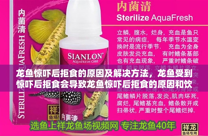 龍魚驚嚇后拒食的原因及解決方法，龍魚受到驚嚇后拒食會導(dǎo)致龍魚驚嚇后拒食的原因和飲食習(xí)性 龍魚驚嚇后拒食的原因及解決方法，龍魚受到驚嚇后拒食會導(dǎo)致龍魚驚嚇后拒食的原因和飲食習(xí)性 觀賞魚百科 第2張