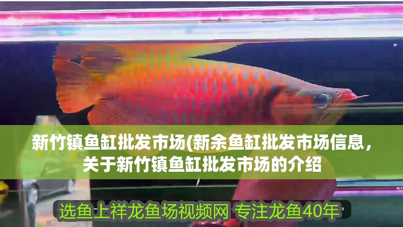 新竹鎮魚缸批發市場(新余魚缸批發市場信息，關于新竹鎮魚缸批發市場的介紹