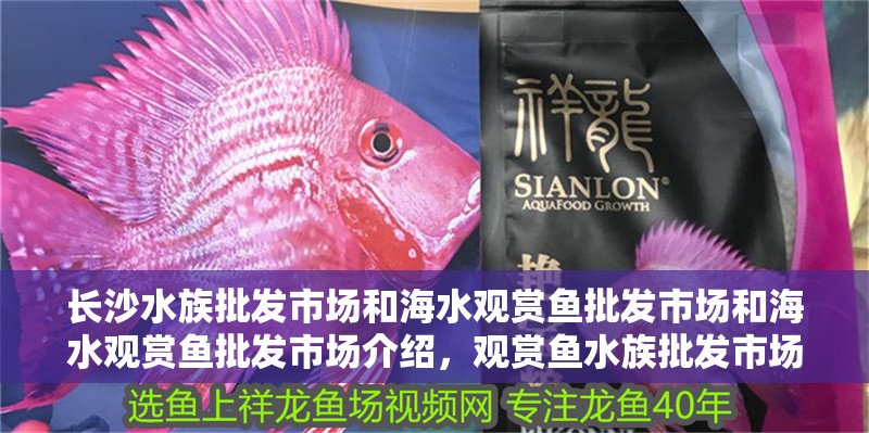 長沙水族批發市場和海水觀賞魚批發市場和海水觀賞魚批發市場介紹，觀賞魚水族批發市場