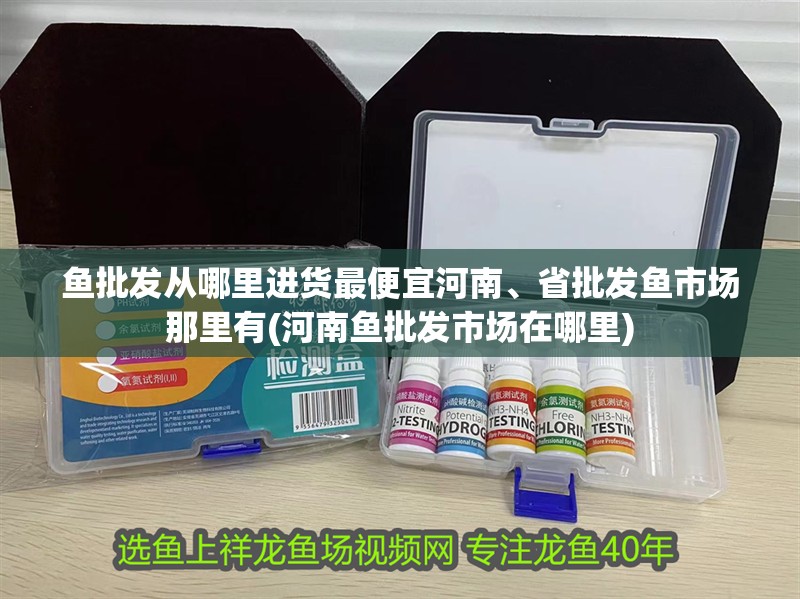 魚批發從哪里進貨最便宜河南、省批發魚市場那里有(河南魚批發市場在哪里)