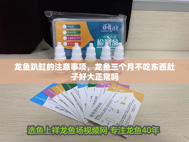 龍魚(yú)趴缸的注意事項(xiàng)，龍魚(yú)三個(gè)月不吃東西肚子好大正常嗎