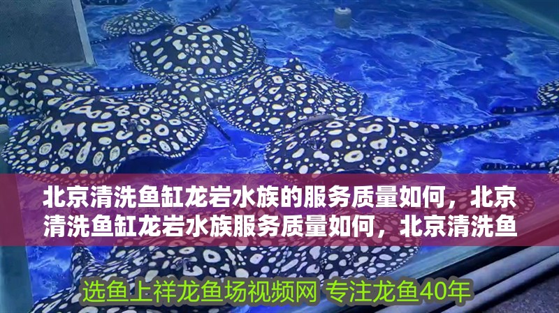 北京清洗魚缸龍巖水族的服務質量如何，北京清洗魚缸龍巖水族服務質量如何，北京清洗魚缸龍巖水族 北京清洗魚缸龍巖水族的服務質量如何，北京清洗魚缸龍巖水族服務質量如何，北京清洗魚缸龍巖水族 觀賞魚百科 第3張