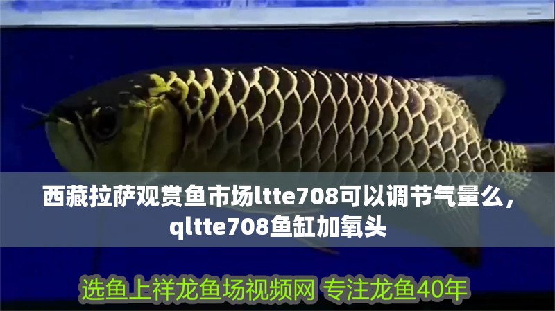 西藏拉薩觀賞魚市場ltte708可以調節氣量么，qltte708魚缸加氧頭