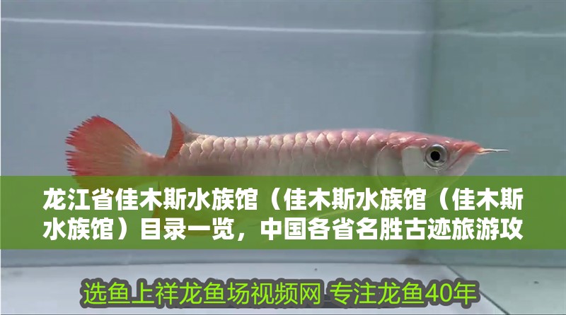 龍江省佳木斯水族館（佳木斯水族館（佳木斯水族館）目錄一覽，中國(guó)各省名勝古跡旅游攻略