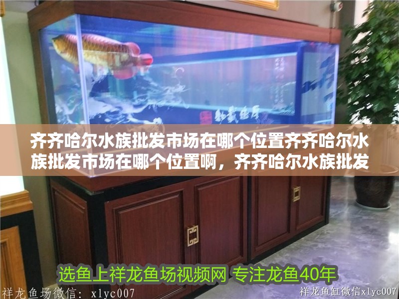 齊齊哈爾水族批發市場在哪個位置齊齊哈爾水族批發市場在哪個位置啊，齊齊哈爾水族批發市場在哪個位置啊
