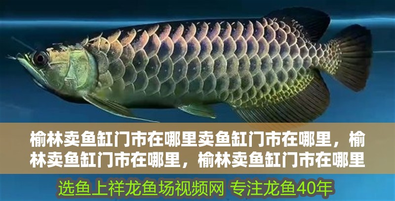<strong><mark>榆林</mark></strong>賣魚缸門市在哪里賣魚缸門市在哪里，<strong><mark>榆林</mark></strong>賣魚缸門市在哪里，<strong><mark>榆林</mark></strong>賣魚缸門市在哪里