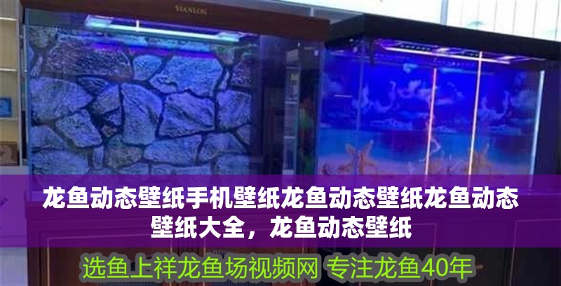 龍魚動態壁紙手機壁紙龍魚動態壁紙龍魚動態壁紙大全，龍魚動態壁紙