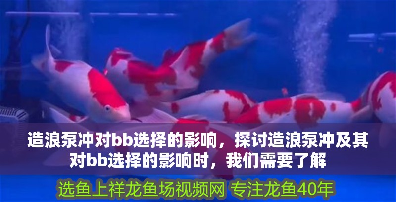 造浪泵沖對(duì)bb選擇的影響，探討造浪泵沖及其對(duì)bb選擇的影響時(shí)，我們需要了解