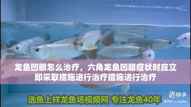 龍魚凹眼怎么治療，六角龍魚凹眼癥狀時應立即采取措施進行治療措施進行治療