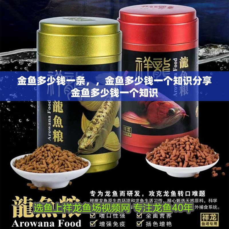 金魚多少錢一條，，金魚多少錢一個知識分享金魚多少錢一個知識