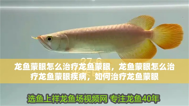 龍魚蒙眼怎么治療龍魚蒙眼，龍魚蒙眼怎么治療龍魚蒙眼疾病，如何治療龍魚蒙眼