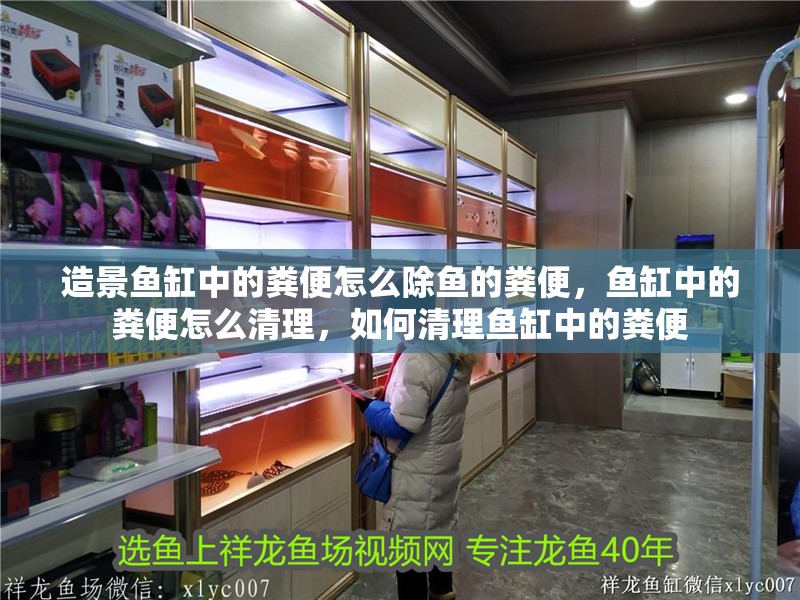 造景魚缸中的糞便怎么除魚的糞便，魚缸中的糞便怎么清理，如何清理魚缸中的糞便