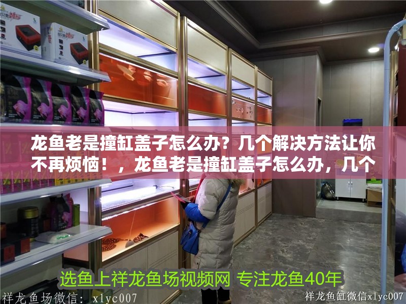 龍魚老是撞缸蓋子怎么辦？幾個解決方法讓你不再煩惱！，龍魚老是撞缸蓋子怎么辦，幾個解決方法讓你不再煩惱