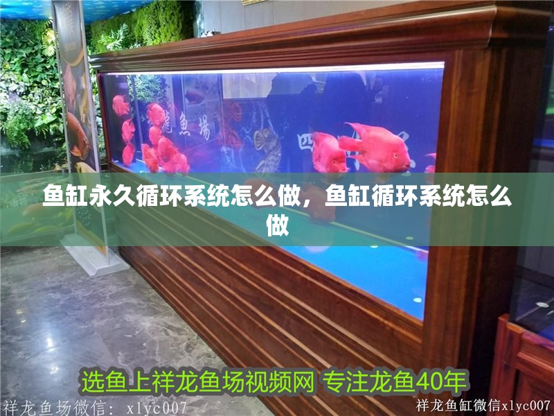 魚缸永久循環系統怎么做，魚缸循環系統怎么做 魚缸永久循環系統怎么做，魚缸循環系統怎么做 觀賞魚百科