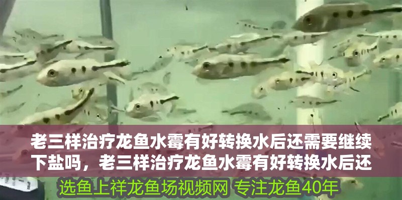 老三樣治療龍魚水霉有好轉換水后還需要繼續下鹽嗎，老三樣治療龍魚水霉有好轉換水后還要繼續下鹽嗎