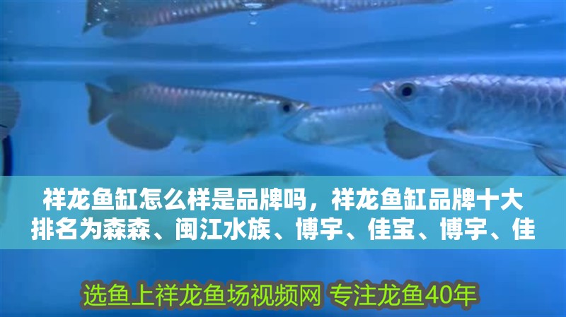 祥龍魚(yú)缸怎么樣是品牌嗎，祥龍魚(yú)缸品牌十大排名為森森、閩江水族、博宇、佳寶、博宇、佳寶