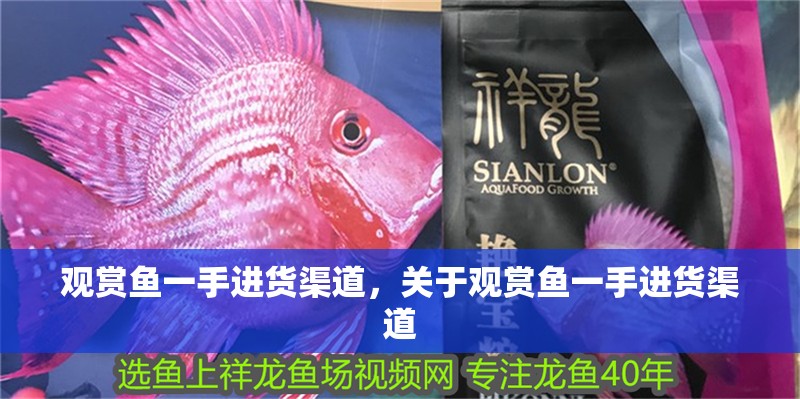 觀賞魚一手進貨渠道，關于觀賞魚一手進貨渠道