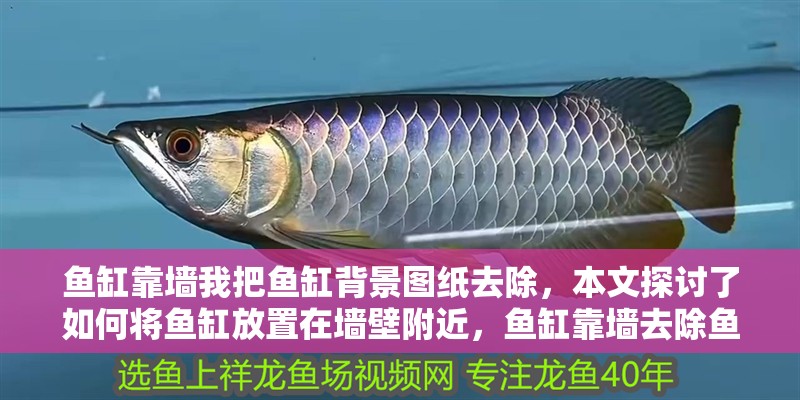 魚缸靠墻我把魚缸背景圖紙去除，本文探討了如何將魚缸放置在墻壁附近，魚缸靠墻去除魚缸背景圖紙