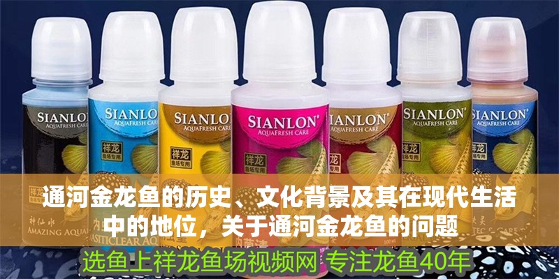 通河金龍魚的歷史、文化背景及其在現代生活中的地位，關于通河金龍魚的問題
