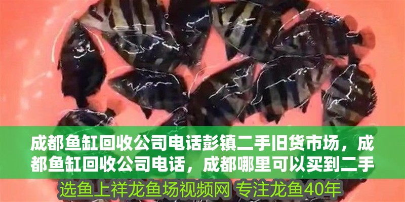 成都魚缸回收公司電話彭鎮(zhèn)二手舊貨市場(chǎng)，成都魚缸回收公司電話，成都哪里可以買到二手魚缸？