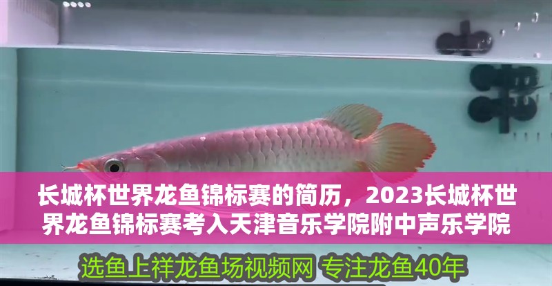 長城杯世界龍魚錦標賽的簡歷，2023長城杯世界龍魚錦標賽考入天津音樂學院附中聲樂學院