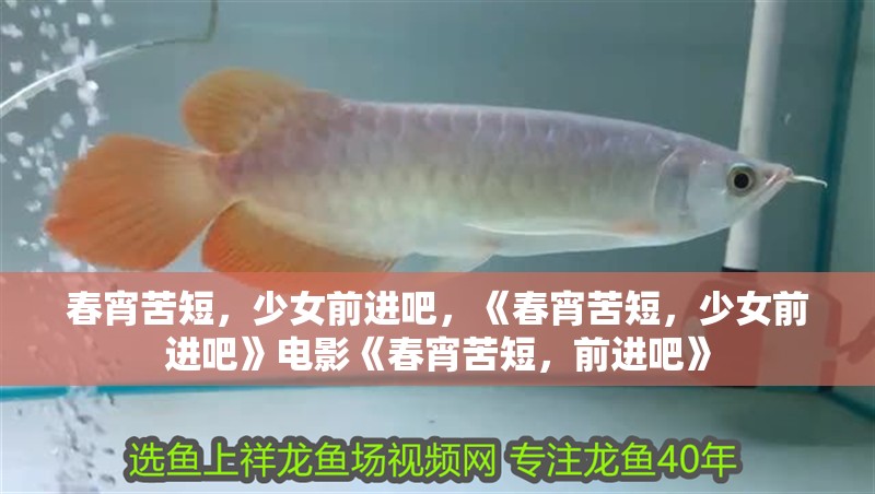 春宵苦短，少女前進吧，《春宵苦短，少女前進吧》電影《春宵苦短，前進吧》
