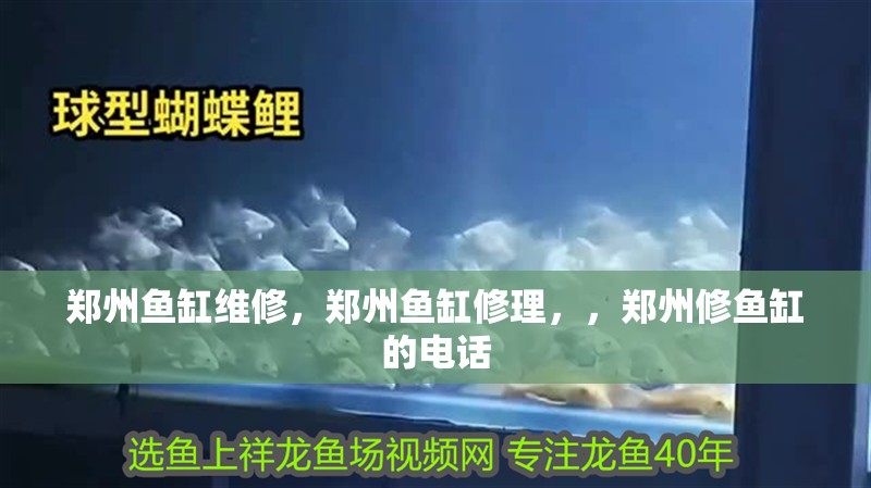 鄭州魚缸維修，鄭州魚缸修理，，鄭州修魚缸的電話