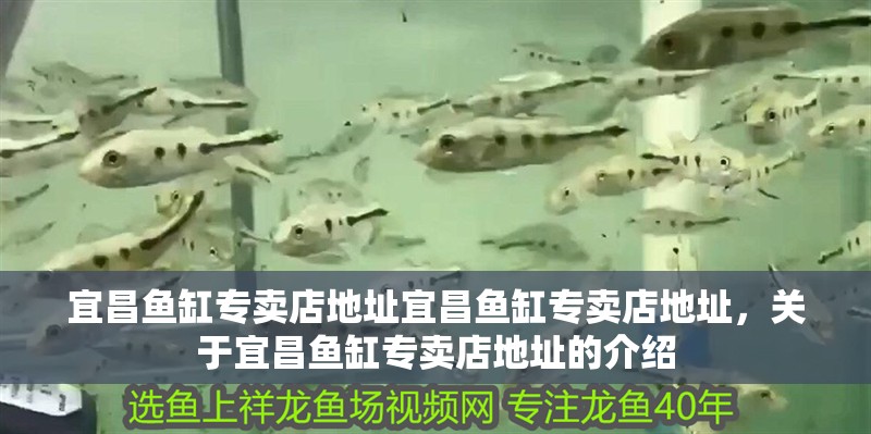 宜昌魚缸專賣店地址宜昌魚缸專賣店地址，關于宜昌魚缸專賣店地址的介紹