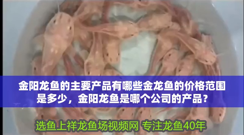 金陽龍魚的主要產品有哪些金龍魚的價格范圍是多少，金陽龍魚是哪個公司的產品？