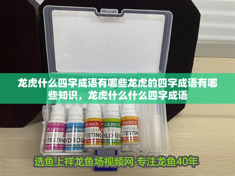 龍虎什么四字成語有哪些龍虎的四字成語有哪些知識，龍虎什么什么四字成語