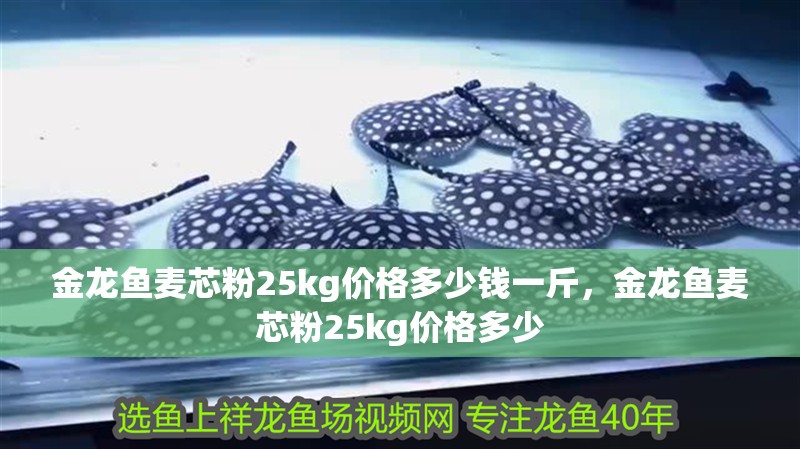 金龍魚麥芯粉25kg價格多少錢一斤，金龍魚麥芯粉25kg價格多少