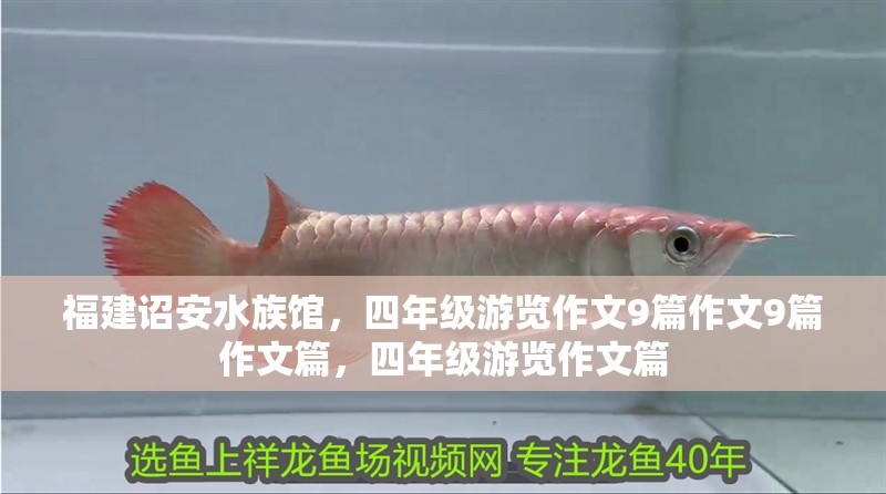 福建詔安水族館，四年級游覽作文9篇作文9篇作文篇，四年級游覽作文篇