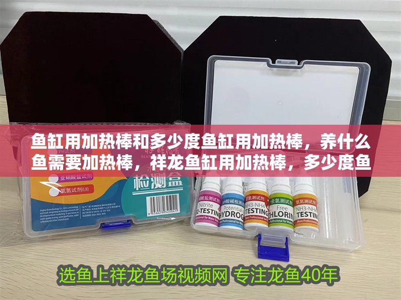 魚缸用加熱棒和多少度魚缸用加熱棒，養什么魚需要加熱棒，祥龍魚缸用加熱棒，多少度魚缸用加熱棒，養什么魚需要加熱棒 魚缸用加熱棒和多少度魚缸用加熱棒，養什么魚需要加熱棒，祥龍魚缸用加熱棒，多少度魚缸用加熱棒，養什么魚需要加熱棒 觀賞魚百科