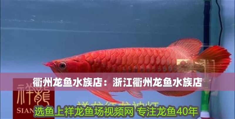 <strong><mark>衢州</mark></strong>龍魚水族店：浙江<strong><mark>衢州</mark></strong>龍魚水族店