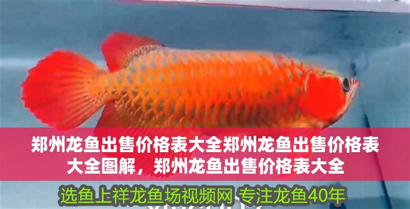 鄭州龍魚出售價格表大全鄭州龍魚出售價格表大全圖解，鄭州龍魚出售價格表大全