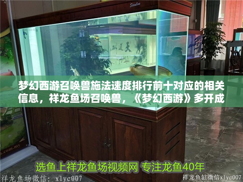 夢幻西游召喚獸施法速度排行前十對應的相關信息，祥龍魚場召喚獸，《夢幻西游》多開成為了玩家的代名詞