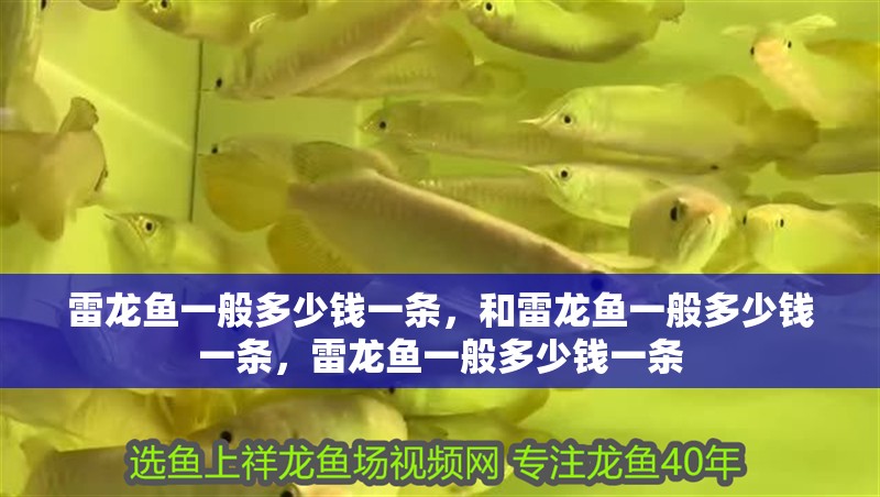 雷龍魚一般多少錢一條，和雷龍魚一般多少錢一條，雷龍魚一般多少錢一條 雷龍魚一般多少錢一條，和雷龍魚一般多少錢一條，雷龍魚一般多少錢一條 觀賞魚百科 第2張