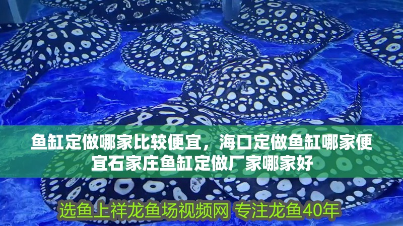 魚缸定做哪家比較便宜,海口定做魚缸哪家便宜石家莊魚缸定做廠家哪家好 觀賞魚百科 第4張 魚缸定做哪家比較便宜,海口定做魚缸哪家便宜石家莊魚缸定做廠家哪家好 魚缸定做哪家比較便宜,海口定做魚缸哪家便宜石家莊魚缸定做廠家哪家好 觀賞魚百科 第4張