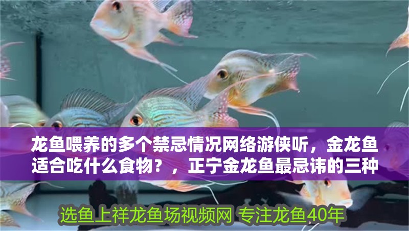 龍魚喂養的多個禁忌情況網絡游俠聽，金龍魚適合吃什么食物？，正寧金龍魚最忌諱的三種食物，喂食時需避免提供禁食要求