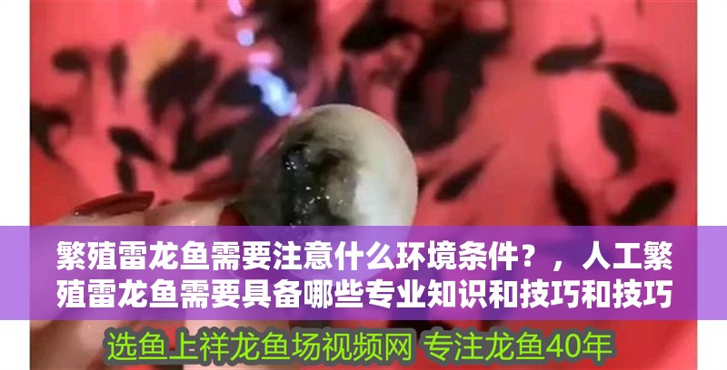 繁殖雷龍魚需要注意什么環(huán)境條件？，人工繁殖雷龍魚需要具備哪些專業(yè)知識和技巧和技巧