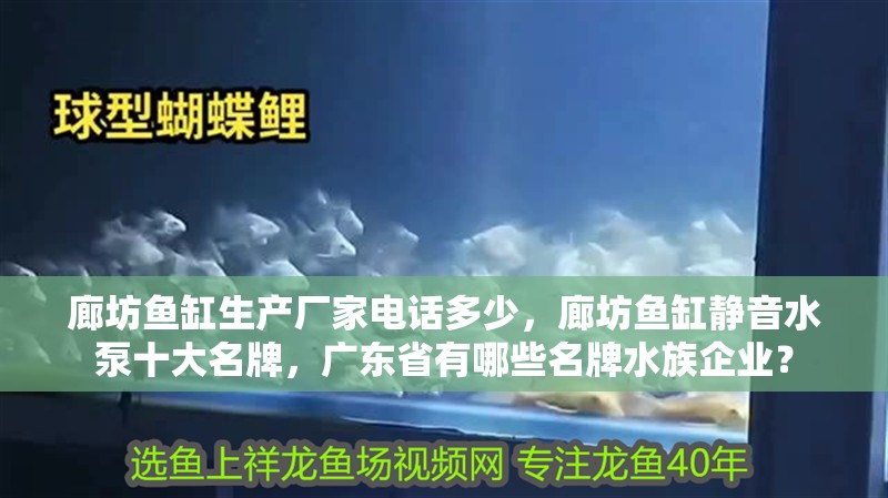 廊坊魚缸生產廠家電話多少，廊坊魚缸靜音水泵十大名牌，廣東省有哪些名牌水族企業？