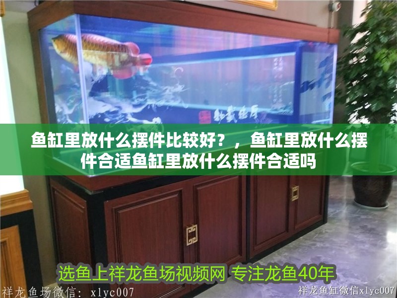 魚缸里放什么擺件比較好？，魚缸里放什么擺件合適魚缸里放什么擺件合適嗎