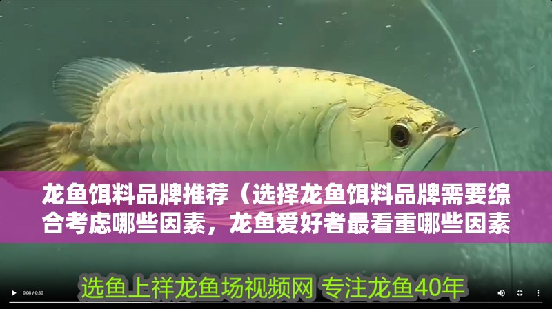 龍魚餌料品牌推薦（選擇龍魚餌料品牌需要綜合考慮哪些因素，龍魚愛好者最看重哪些因素）