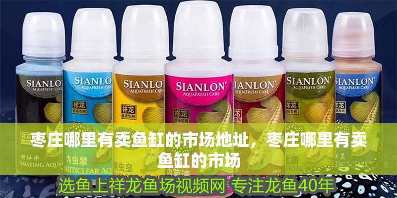 棗莊哪里有賣魚缸的市場地址，棗莊哪里有賣魚缸的市場