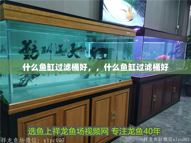 什么魚缸過濾桶好，，什么魚缸過濾桶好