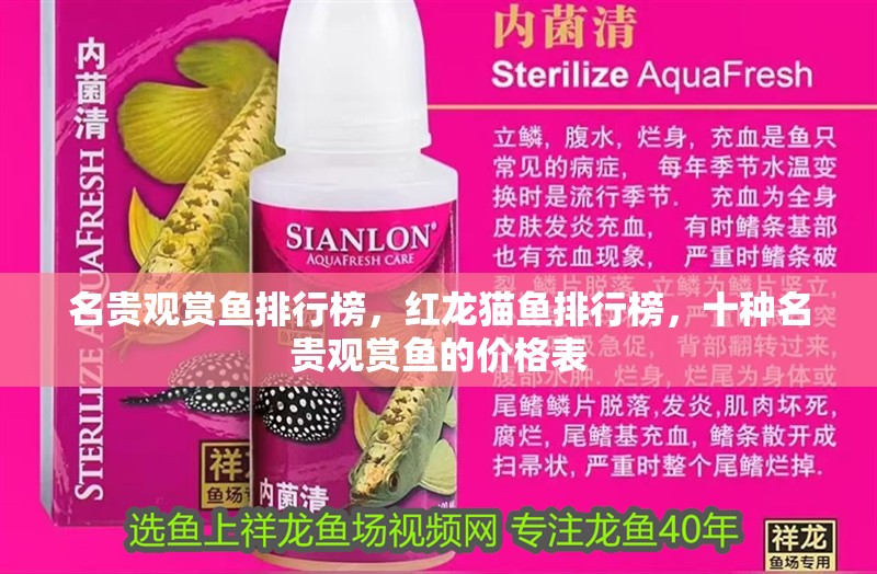 名貴觀賞魚排行榜，紅龍貓魚排行榜，十種名貴觀賞魚的價格表