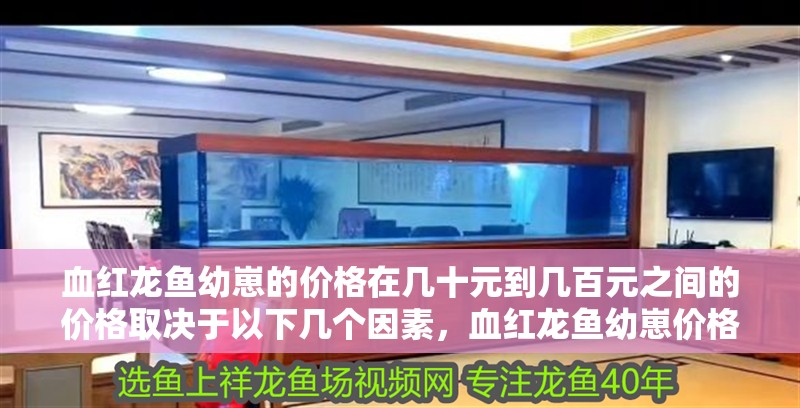 血紅龍魚幼崽的價格在幾十元到幾百元之間的價格取決于以下幾個因素，血紅龍魚幼崽價格在幾十元到幾十元之間的價格取決于以下幾個因素