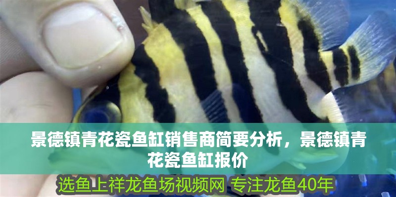 景德鎮(zhèn)青花瓷魚缸銷售商簡(jiǎn)要分析，景德鎮(zhèn)青花瓷魚缸報(bào)價(jià)