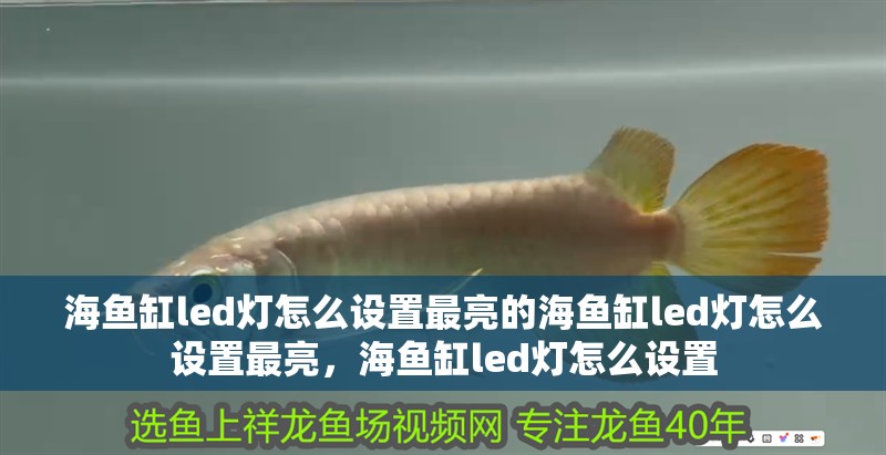 海魚缸led燈怎么設(shè)置最亮的海魚缸led燈怎么設(shè)置最亮，海魚缸led燈怎么設(shè)置