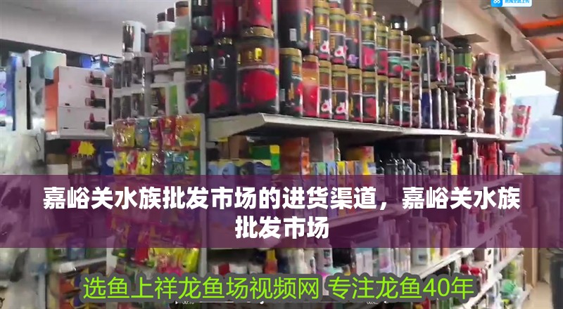 嘉峪關(guān)水族批發(fā)市場的進(jìn)貨渠道，嘉峪關(guān)水族批發(fā)市場
